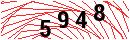 Security Verification