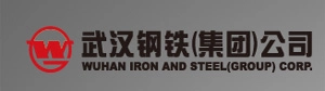 WUHAN IRON AND STEEL(GROUP) CORP.