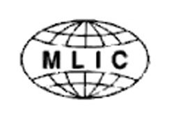 Multi-Link International Corporation