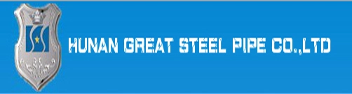 Hunan Shinestar Steel Group-HSSG