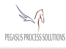 Pegasus Process Solutions