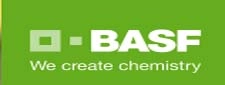 BASF Catalyst