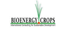 Bioenergy Crops Ltd