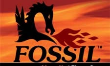 Fossil Power Systems Inc