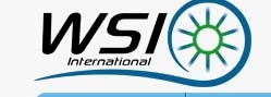 WSI International, LLC
