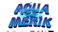 Aquamerik Inc