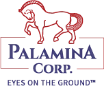 Palamina Corp