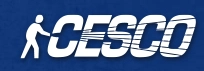 CESCO Inc