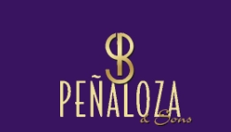 Penaloza & Sons, Inc