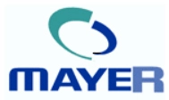 Mayer Information Technology