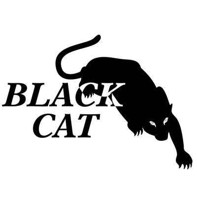 Black Cat Erectors, LLC