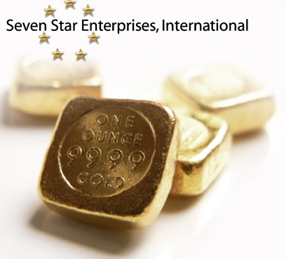 Seven Star Enterprises, International (SSEI)