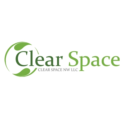 Clear Space Junk Removal