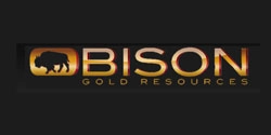 Bison Gold Resources Inc.