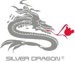 Silver Dragon Resources Inc
