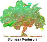 Biomasa Peninsular