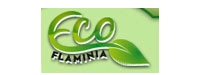 Eco Flaminia Srl