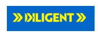 Diligent Services, Inc