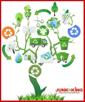 Junk King