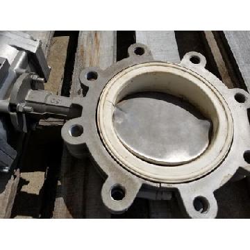 Butterfly Valve 