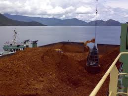 Chinese Q1 Nickel ore and concentrate imports declined, says Customs data
