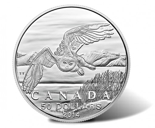 Royal Canadian Mint Introduces New 2014 $50 Snowy Owl Silver Coin