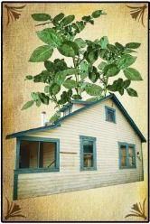 The Potato House Project Logo