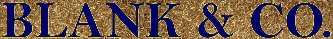 Blank & Co. Rohstoffhandelsgesellschaft mbH Logo