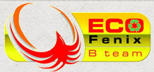 Eco Fenix B Team Logo